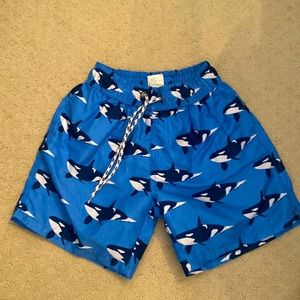 Snapper Rock EUC boys Swim Size 10